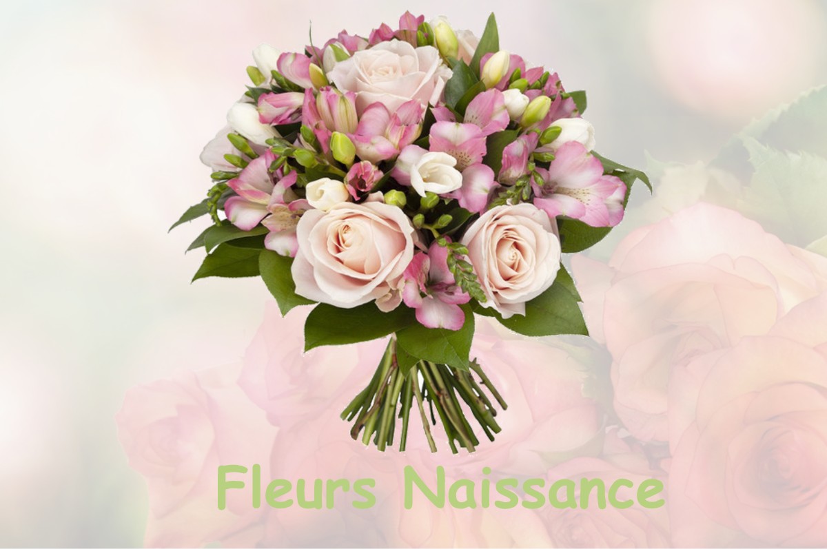 fleurs naissance LE-CANNET-DES-MAURES